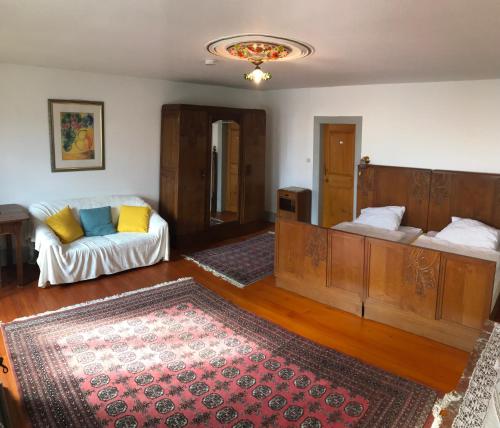 PetersbachMaison Zielinger的带沙发和地毯的客厅