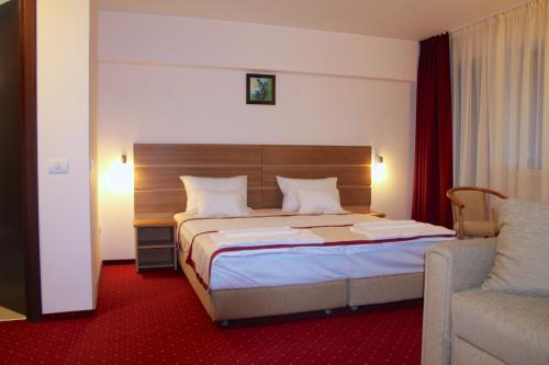 普雷代亚尔喀尔巴阡酒店的酒店客房,配有床和沙发