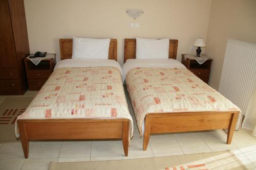 卡斯托里亚Elanthi Hostel kastoria的两张睡床彼此相邻,位于一个房间里
