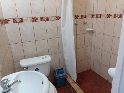 阿雷基帕Misti Hostel B&B的一间带卫生间和淋浴的浴室