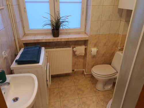 华沙RentOnline Kościelna Apartment Old Town的一间带卫生间、水槽和窗户的浴室