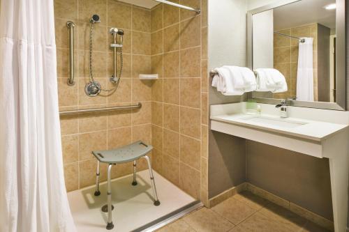 拉什莫尔广场拉皮德城假日酒店 的一间浴室