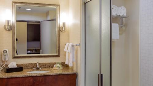 俄克拉何马城俄克拉荷马市机场假日酒店的一间带水槽和镜子的浴室