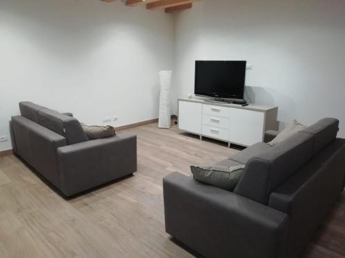 威尼斯Calle Michelangelo Apartments的客厅配有2张沙发和1台平面电视