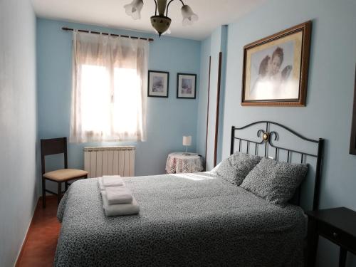 桑托多明戈德锡洛斯Casa Rural Las Condesas的一间卧室设有一张床和一个窗口