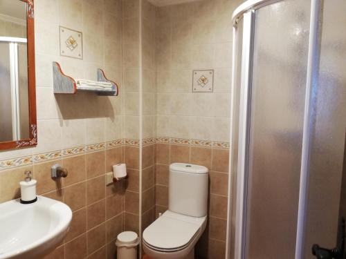 桑托多明戈德锡洛斯Casa Rural Las Condesas的浴室配有卫生间、盥洗盆和淋浴。