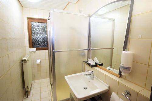 斯图加特Apartment Möhringen的浴室配有盥洗盆和带镜子的淋浴