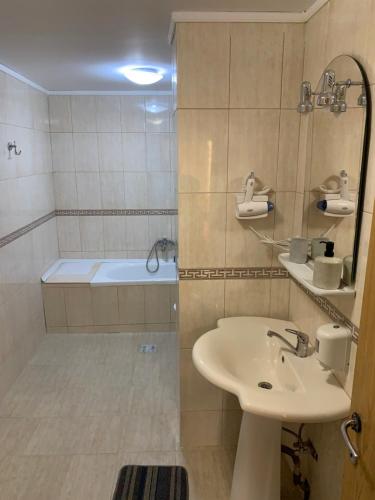 博托沙尼拉雷什酒店的浴室配有水槽和带浴缸的淋浴