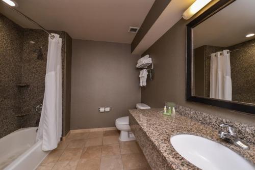 加利福尼亚安大略机场假日酒店的一间浴室