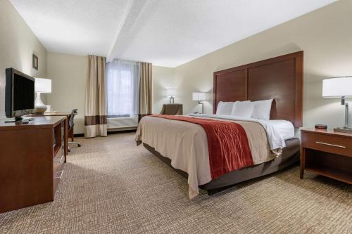 Bellville司普拉什哈伯康福特茵旅馆的配有一张床和一台平面电视的酒店客房