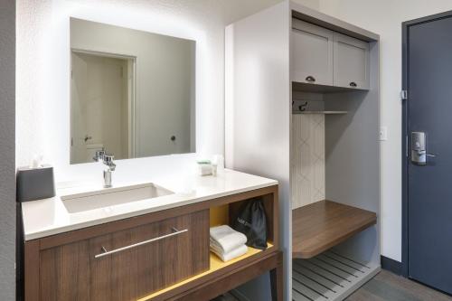 双子瀑布Holiday Inn Twin Falls, an IHG Hotel的一间带水槽和镜子的浴室