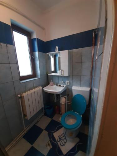 锡比乌Alex-Gabriel的浴室设有蓝色的卫生间和水槽。