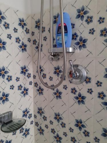 托尔诺monolocale Sabrina的浴室铺有蓝色和白色瓷砖,设有淋浴。