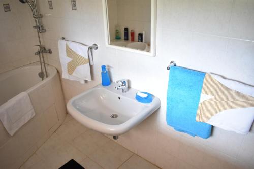 索科洛夫Guest House Hartenberg的白色的浴室设有水槽和浴缸。