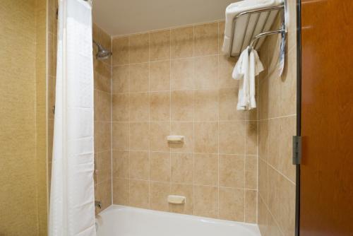 纽约华尔街快捷假日酒店的带淋浴和浴帘的浴室