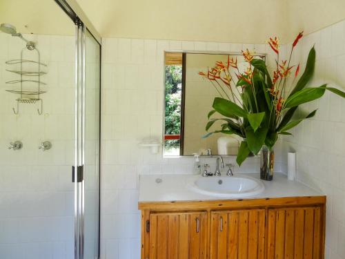 苦难角Noah Creek Eco Huts的一间带水槽和花瓶的浴室