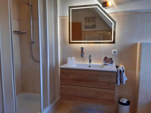 库克斯港奥夫德顿公寓的一间带水槽、淋浴和镜子的浴室