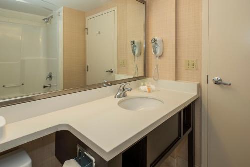 埃德蒙顿埃德蒙顿南假日会议中心旅馆的一间带水槽和镜子的浴室