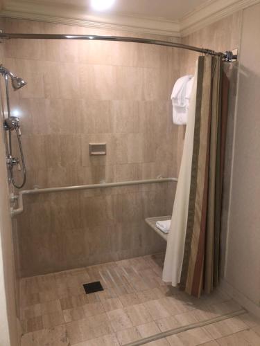 匹兹堡全威廉佩恩酒店的带淋浴和浴帘的浴室