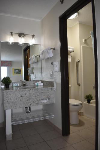 圣伊尼亚斯布雷克湖滨度假酒店的一间带水槽和卫生间的浴室