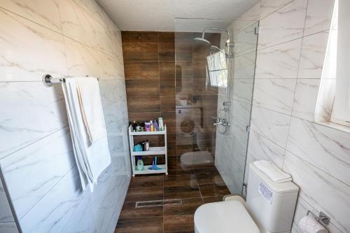 斯科普里Villa Number 6的带淋浴和卫生间的浴室。