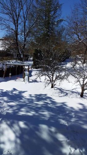 Saint-Jean-Saint-NicolasJoli studio sympa的一片覆盖着树木的雪地和凉亭