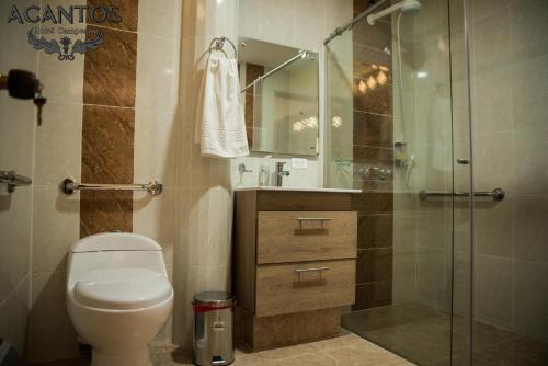 TámesisAcantos Hotel Campestre的一间带卫生间和玻璃淋浴间的浴室