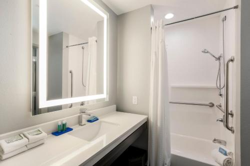 Holiday Inn Express & Suites Houston - Hobby Airport Area, an IHG Hotel的一间浴室