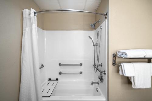 阿什兰阿什兰快捷假日套房酒店的带淋浴和浴帘的浴室