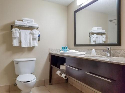奥兰治城Holiday Inn Express Hotel & Suites Orange City - Deltona, an IHG Hotel的一间带卫生间、水槽和镜子的浴室