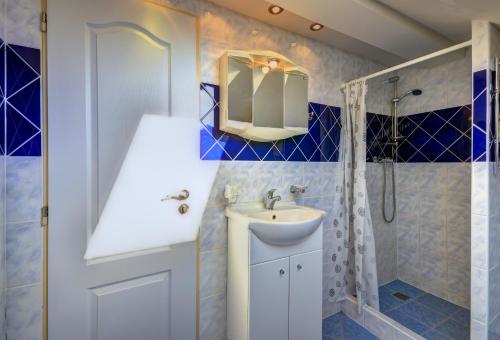 Hať彭兹尤斯维米库拉塞霍斯特尼克酒店的一间带水槽和淋浴的浴室