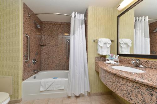 伍德兰伍德兰德智选假日酒店的带浴缸、盥洗盆和卫生间的浴室