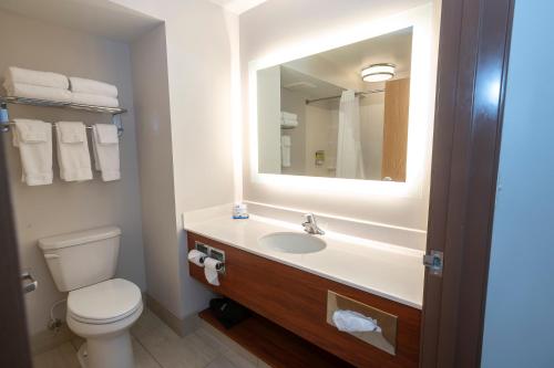 艾恩芒廷钢铁山智选假日酒店的浴室设有卫生间和带镜子的盥洗盆