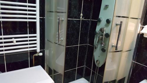 普洛耶什蒂Venus Plaza Apartment Ploiesti的带淋浴和卫生间的浴室