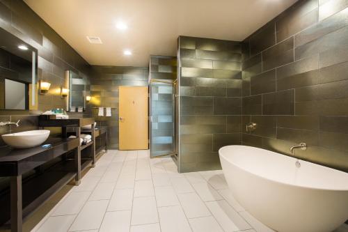 阿马里洛Holiday Inn Express & Suites Amarillo West, an IHG Hotel的浴室配有2个盥洗盆、浴缸和淋浴。