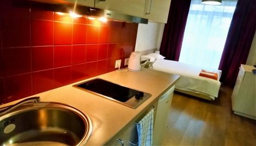 维尔纽斯娜塔莉小阁楼公寓的一个带水槽和红色墙壁的厨房