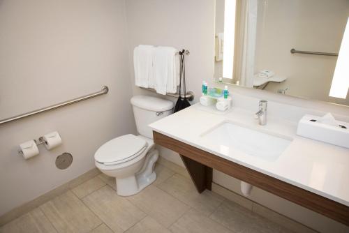 列克星敦列克星敦-大学市中心快捷假日酒店的一间带卫生间、水槽和镜子的浴室