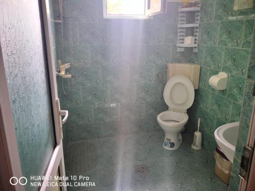 多亚马伊Casa de vacanta Alexoiu 2 Mai的一间带卫生间和水槽的浴室
