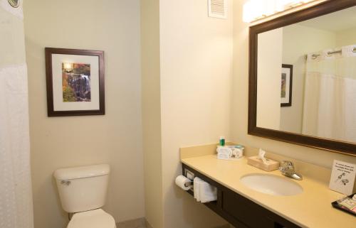 切诺基赌场智选假日套房酒店的一间浴室