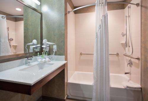 Holiday Inn Express & Suites St Louis Airport, an IHG Hotel的一间浴室