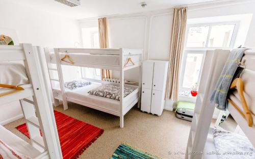 里加大树旅舍的一间卧室设有两张双层床和一扇窗户。