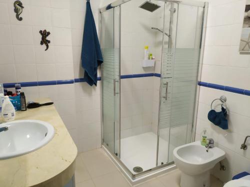 阿罗纳Residence balcon del mar的带淋浴、卫生间和盥洗盆的浴室