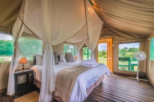 提姆巴瓦提禁猎区Shindzela Tented Camp的帐篷内一间卧室,配有一张床