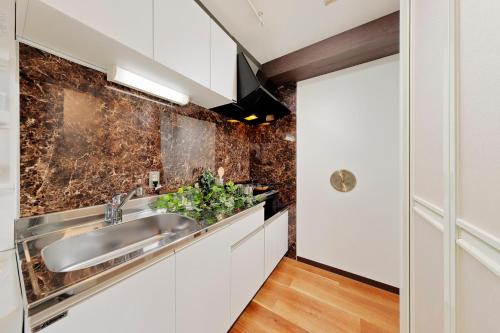 东京Terrace Terano#201的厨房配有白色橱柜和水槽