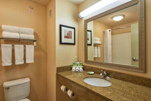 埃尔帕索埃尔帕索机场智选假日套房酒店的一间带水槽、卫生间和镜子的浴室