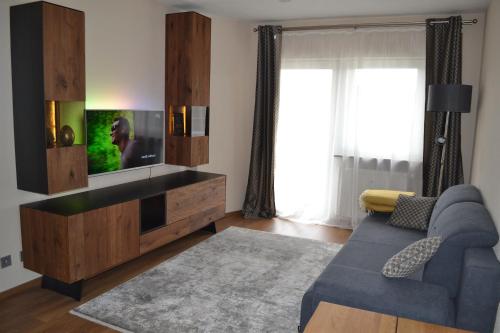 卡尔斯鲁厄Business Wohnung zur Kurzzeitmiete für Geschäftsreisende的客厅配有蓝色的沙发和平面电视。