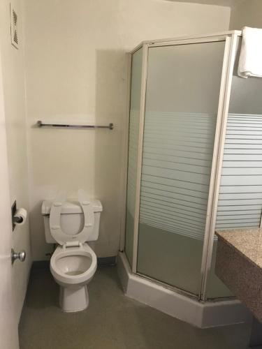 格林斯伯勒旅行汽车旅馆的一间带卫生间和淋浴的浴室