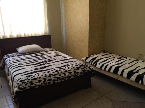 安巴托Hotel de la Peña的带窗户的客房内设有两张单人床。