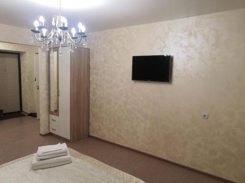 布拉戈维申斯克1 комнатная квартира的客厅的墙上配有电视