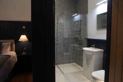 GlasburyCwmbach Lodge luxury B&B的带淋浴、卫生间和盥洗盆的浴室